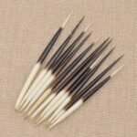 Porcupine Quills: Meaning & Uses - Image 2
