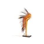 Northern Plains Roach - Image 2