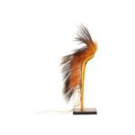 Northern Plains Roach - Image 3