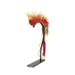 Plains Hair Roach - Image 2