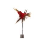 Northern Plains Roach - Image 2