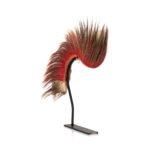 Northern Plains Roach