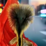 20″ inch Porcupine Roach Hair with 9 inch hair with black deerhair.