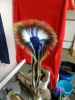 Grass Dance: History, Meaning & Tradition - Image 3