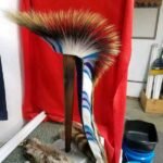 Grass Dance: History, Meaning & Tradition