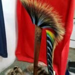 Porcupine Hair: Porcupine Roach Hair