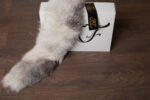 Platinum Fox Fur Collar - Image 6