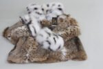 Fur Coat Bobcat Lynx White Spotted Fox Collar and Cuffs - Image 4