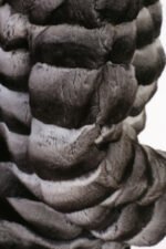 Chinchilla Coat Hooded - Image 4