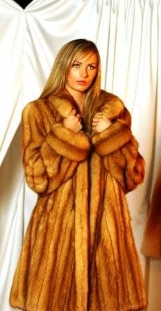 Amazing Full Length Canadian Golden Sable Fur Coat Large Shawl Collar 90093