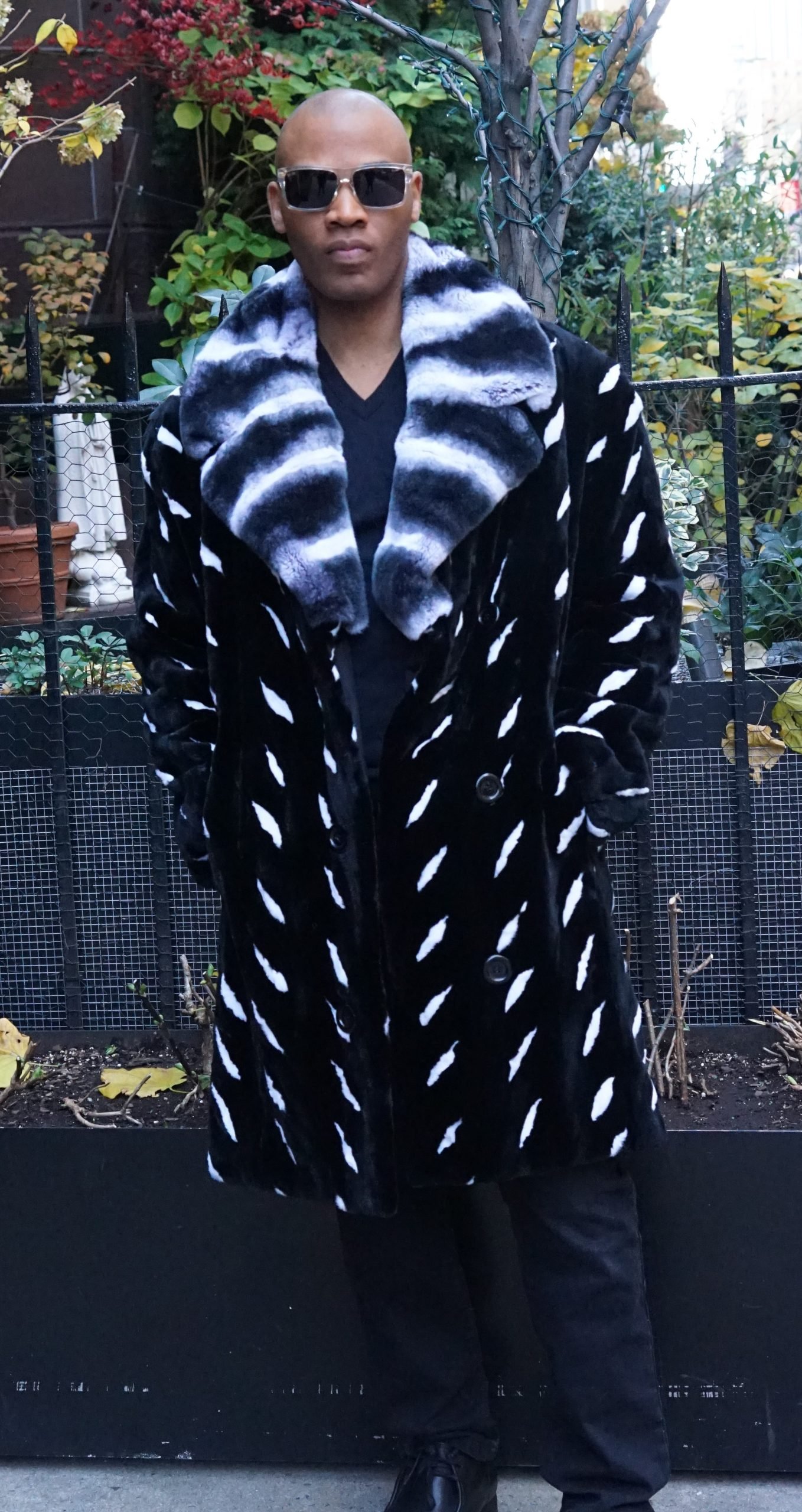 Black White Sheared Mink Stroller Chinchilla Rex Collar 2312 Black White Sheared Mink Stroller Chinchilla Rex Collar 2312