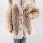 Canadian Lynx Stroller 2726