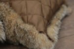 Canadian Lynx Fur Blanket Throw and 2 Pillows Set - Image 5