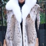 Cat Lynx Vest Fox Collar 77447