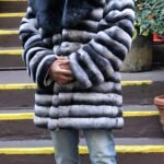 Chinchilla Rex Rabbit Stroller Black Fox Collar 438373