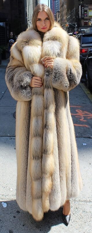Full Length Golden Island Fox Coat 53566