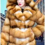 Horizontal Red Fox Stroller Hood 77665