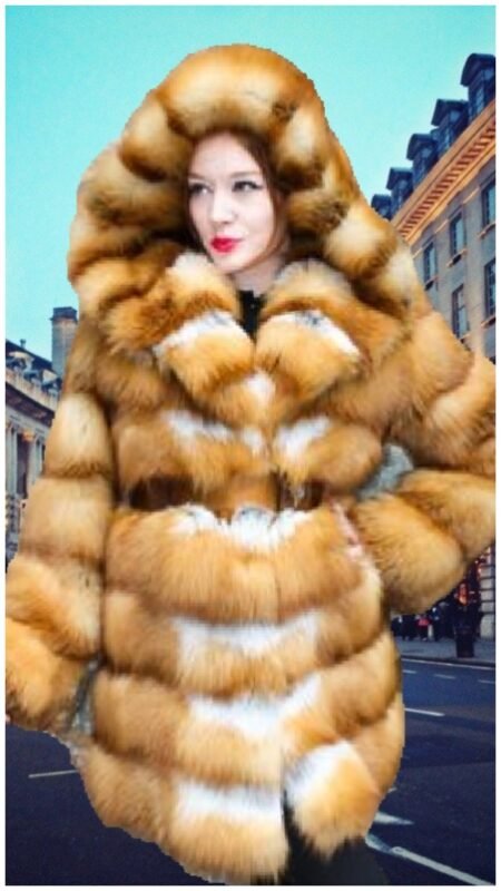 Horizontal Red Fox Stroller Hood 77665