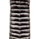 Long Chinchilla Fur Vest