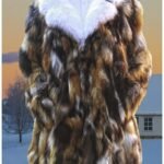 Men's Fox Stroller White Fox Collar 29928