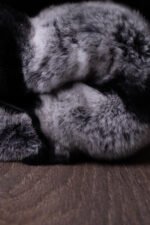 Rex Rabbit Fur Bomber Jacket - Image 5