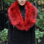 Red Finnish Raccoon Collar