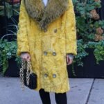 Yellow Persian Stroller Fox Collar 7333