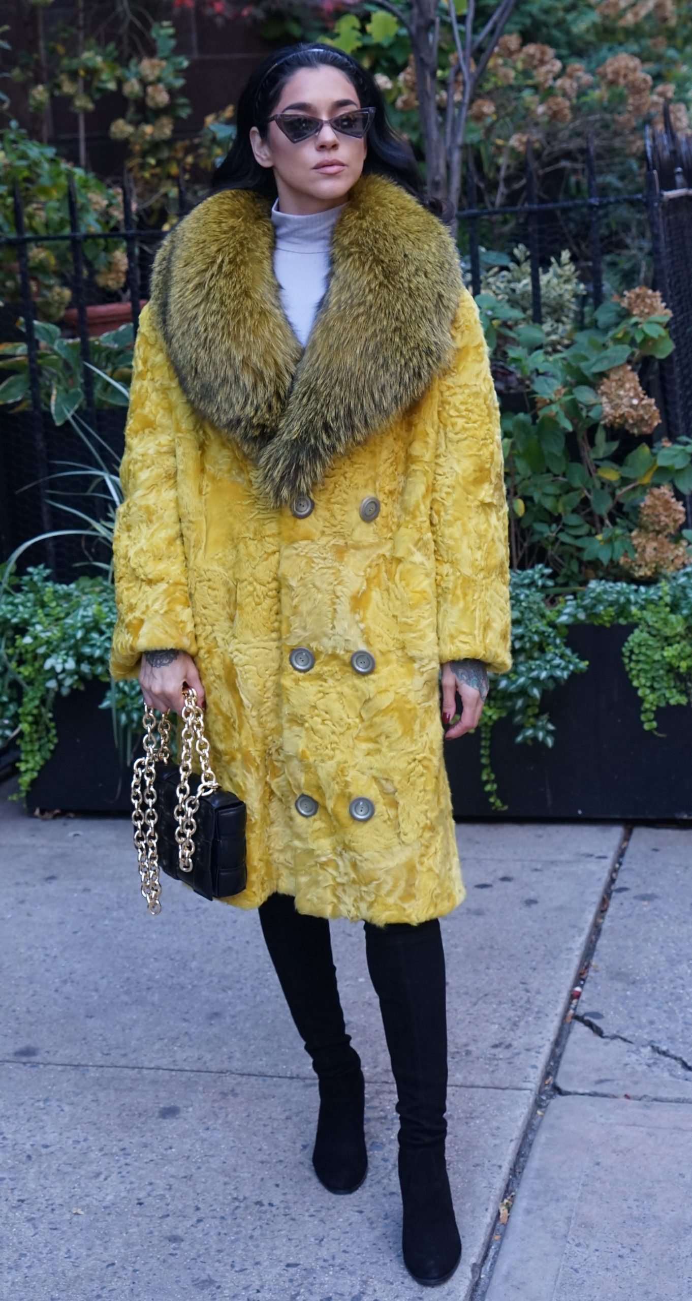 Yellow Persian Stroller Fox Collar 7333 Yellow Persian Stroller Fox Collar 7333